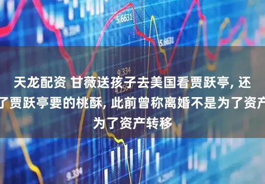 天龙配资 甘薇送孩子去美国看贾跃亭, 还带上了贾跃亭要的桃酥, 此前曾称离婚不是为了资产转移