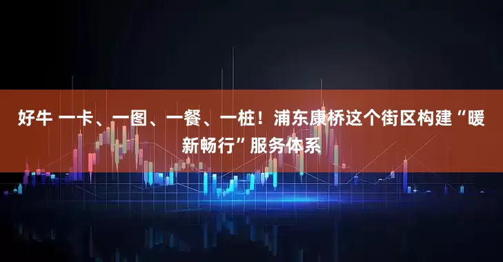 好牛 一卡、一图、一餐、一桩！浦东康桥这个街区构建“暖新畅行”服务体系
