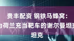 贵丰配资 钢铁马蜂窝：为荷兰充当靶车的谢尔曼坦克